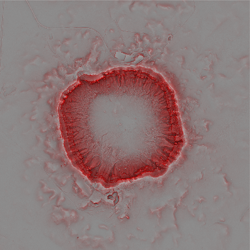 Red relief image map of Barringer