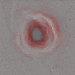 Red relief image map of Ilumetsa