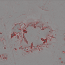 Red relief image map of Odessa